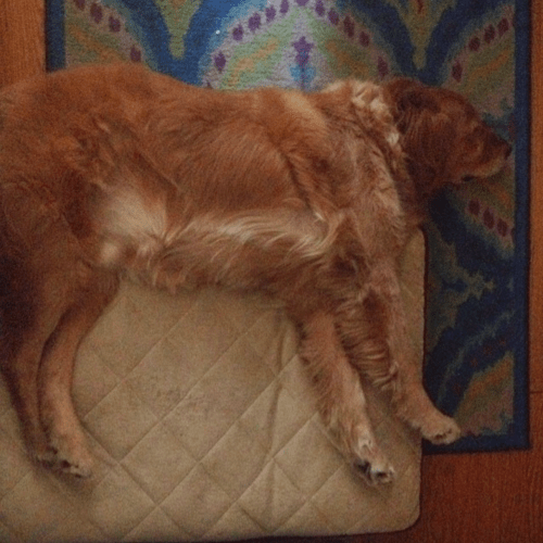 Screen Shot 2014-11-11 at 6.43.59 PM