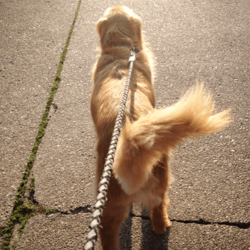 Screen Shot 2014-11-11 at 6.44.42 PM