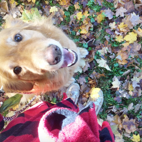 Screen Shot 2014-11-11 at 6.45.43 PM