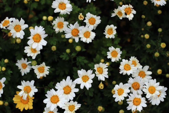 Processed with VSCO with m5 preset