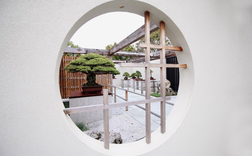 national bonsai + penjing&nbsp;museum